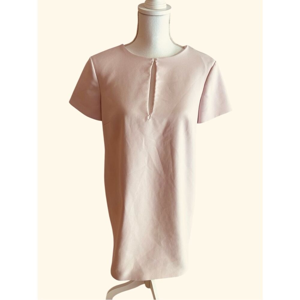 Kate Spade Pink Sheath Dress Size 2